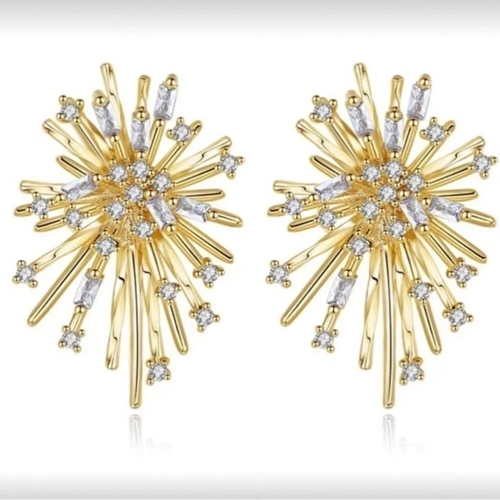 💥 FIREWORKS pattern 14K Gold plated Earrin…